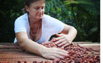 Talamanca Organica Costa Rica Chocolates